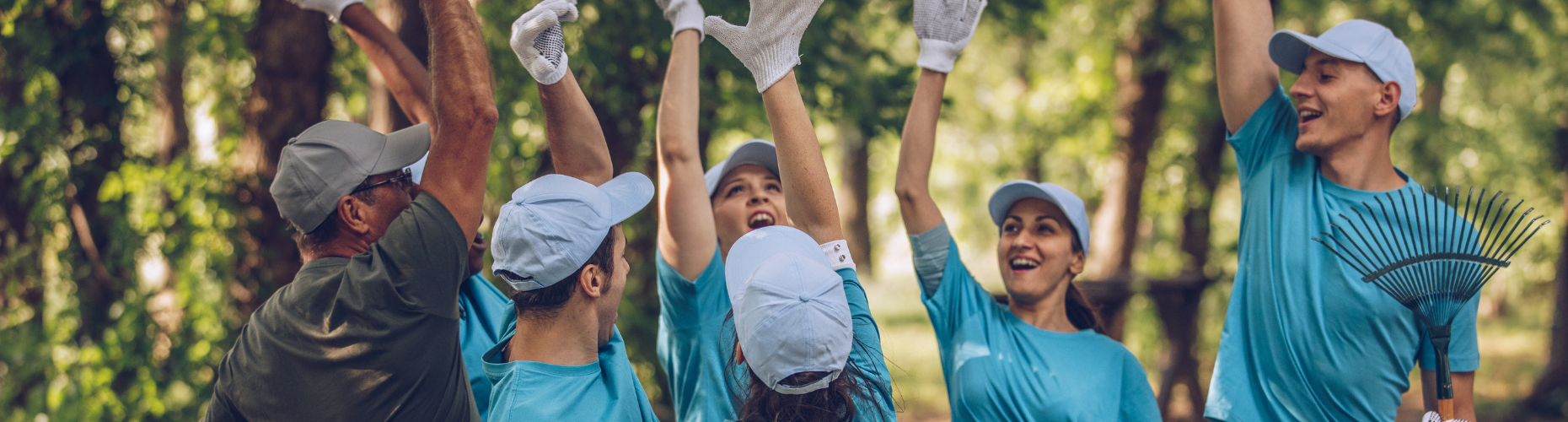 A stock image of a group of volunteers working outdoors